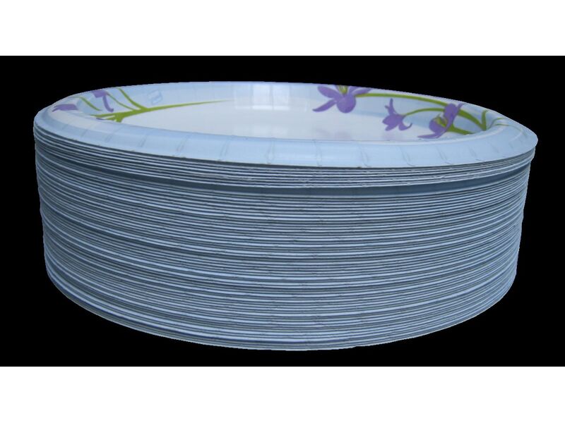 Assiettes – lot de 10