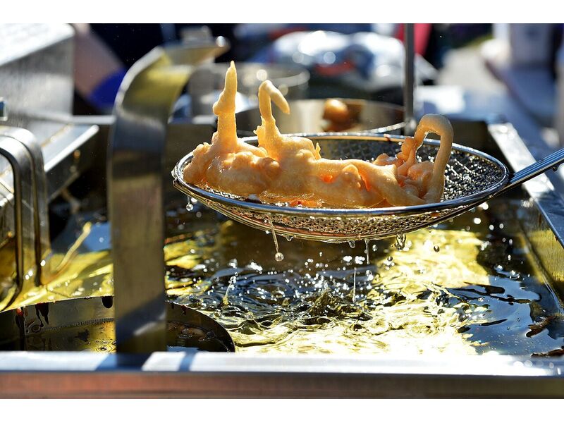 Friteuse professionnelle