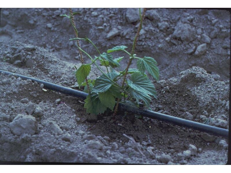 Kit d'irrigation