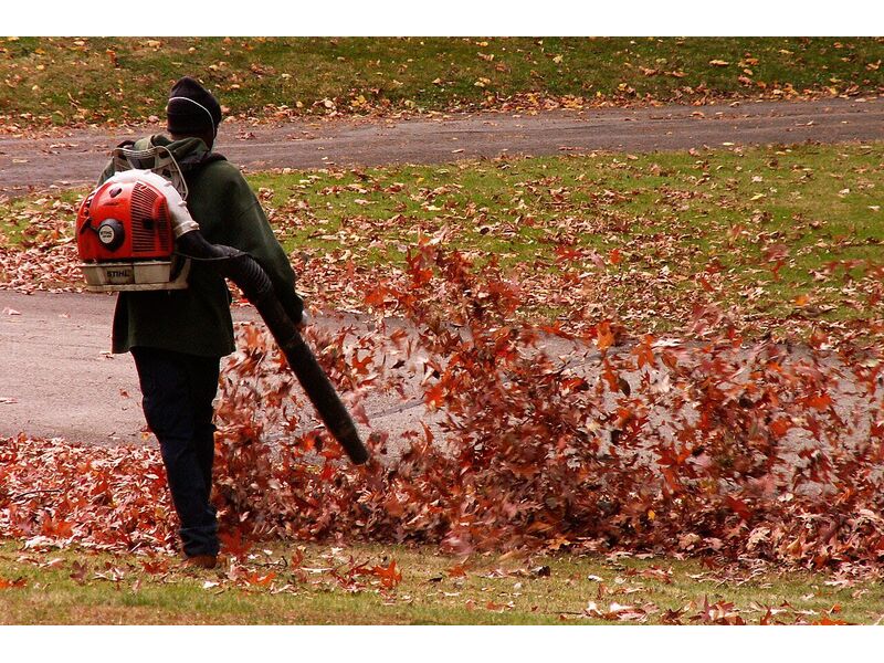 Souffleur de feuilles